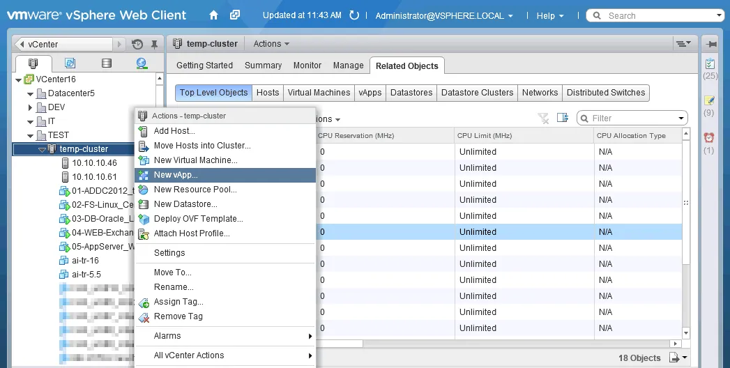 Creating a new VMware vApp in vCenter.