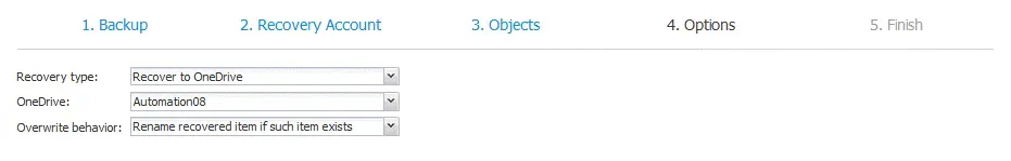 options page in the recovery wizard