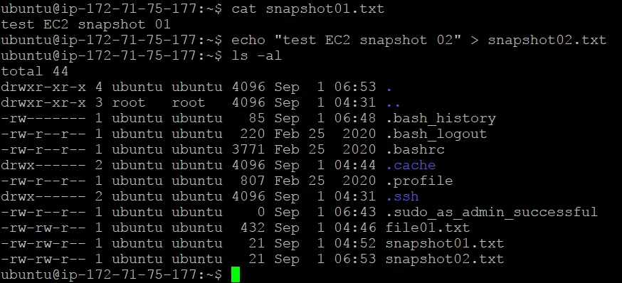 Adding a file to the home directory stored on the first EBS volume