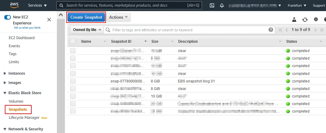 Clicking the Create Snapshot button in the Amazon web interface to take EC2 snapshots in AWS