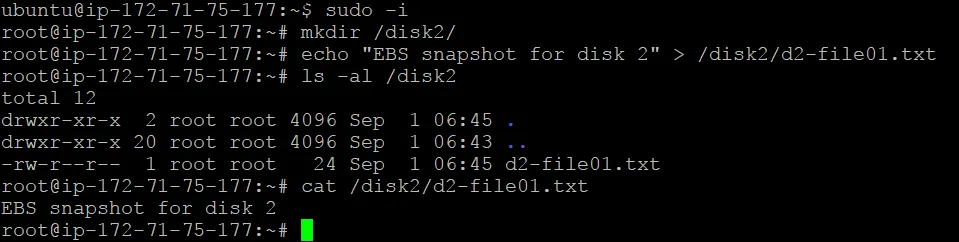 Creating a file to be restored on the EBS volume by using a snapshot in AWS