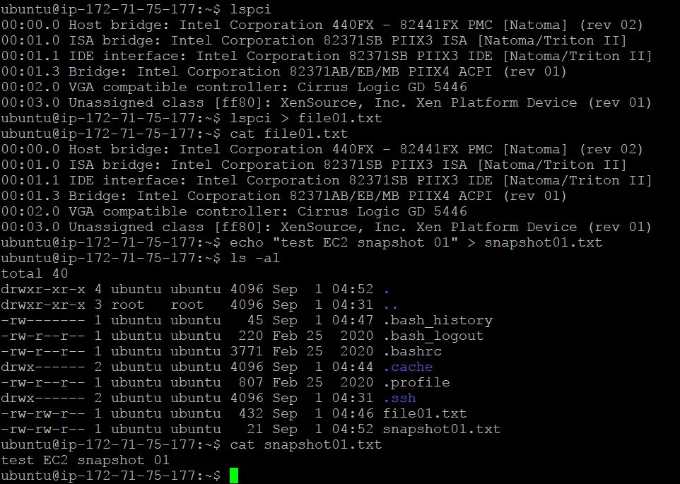 Creating files on an instance before taking snapshot of EC2 instance
