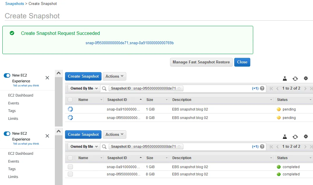 The EC2 create snapshot operation is started for multiple EBS volumes