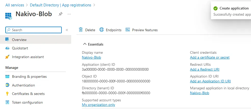 IDs are generated for the registered application
