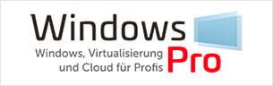 Windows Pro 標誌