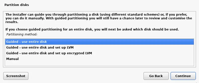partitioning a disk for the VM where Kali will be installed