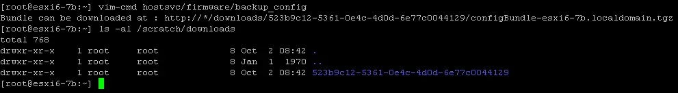 Comment pour sauvergarder la configuration de l'hôte ESXi dans la ligne de commande ESXi