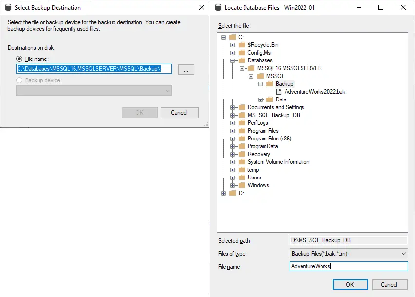 Selecting the destination location for a database backup