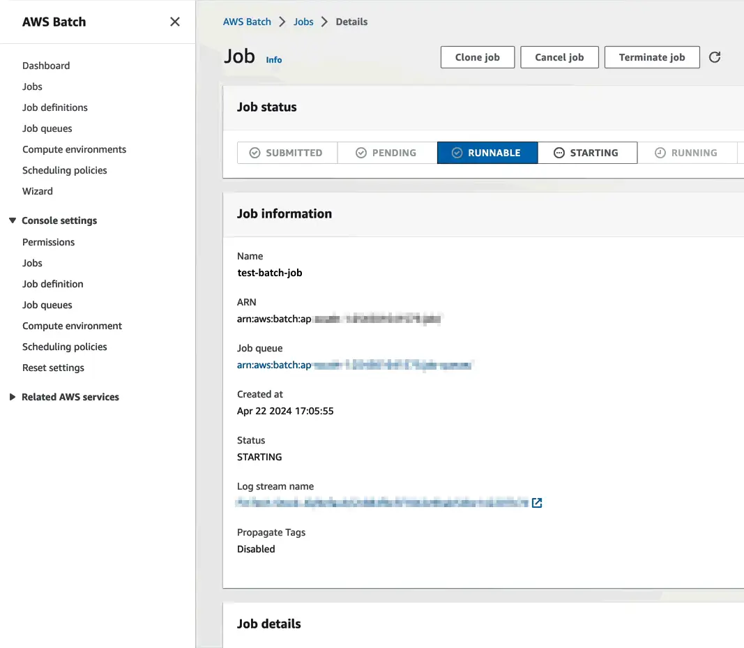 AWS batch job information
