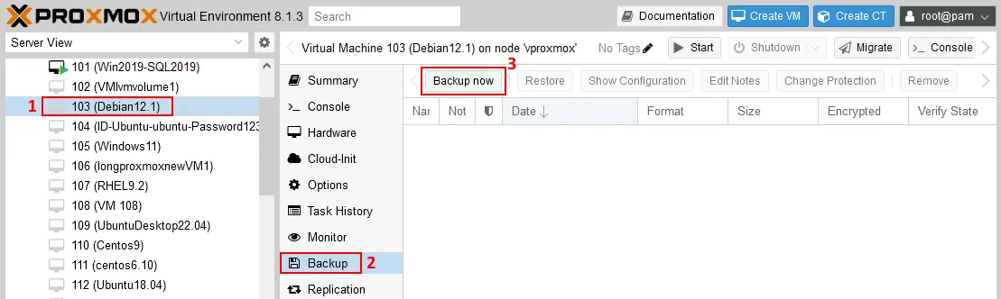 Starting the Proxmox backup to NAS
